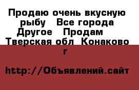 Продаю очень вкусную рыбу - Все города Другое » Продам   . Тверская обл.,Конаково г.